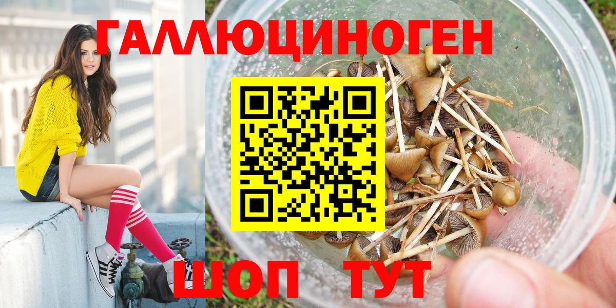 Павлово  Псилоцибиновые грибы мицелий  купить  цена  Галлюциногенные грибы Psilocybe  Вход с VPN 