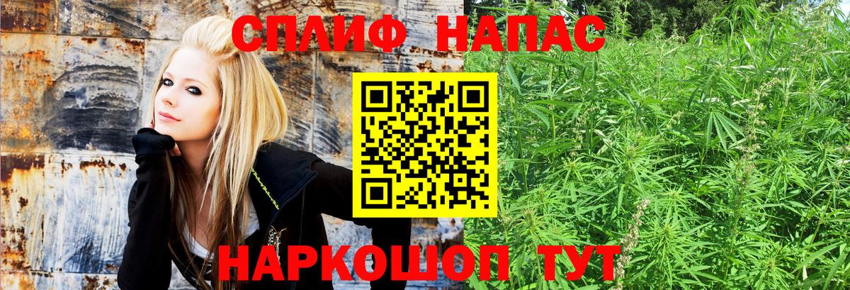 Бошки Шишки конопля Павлово